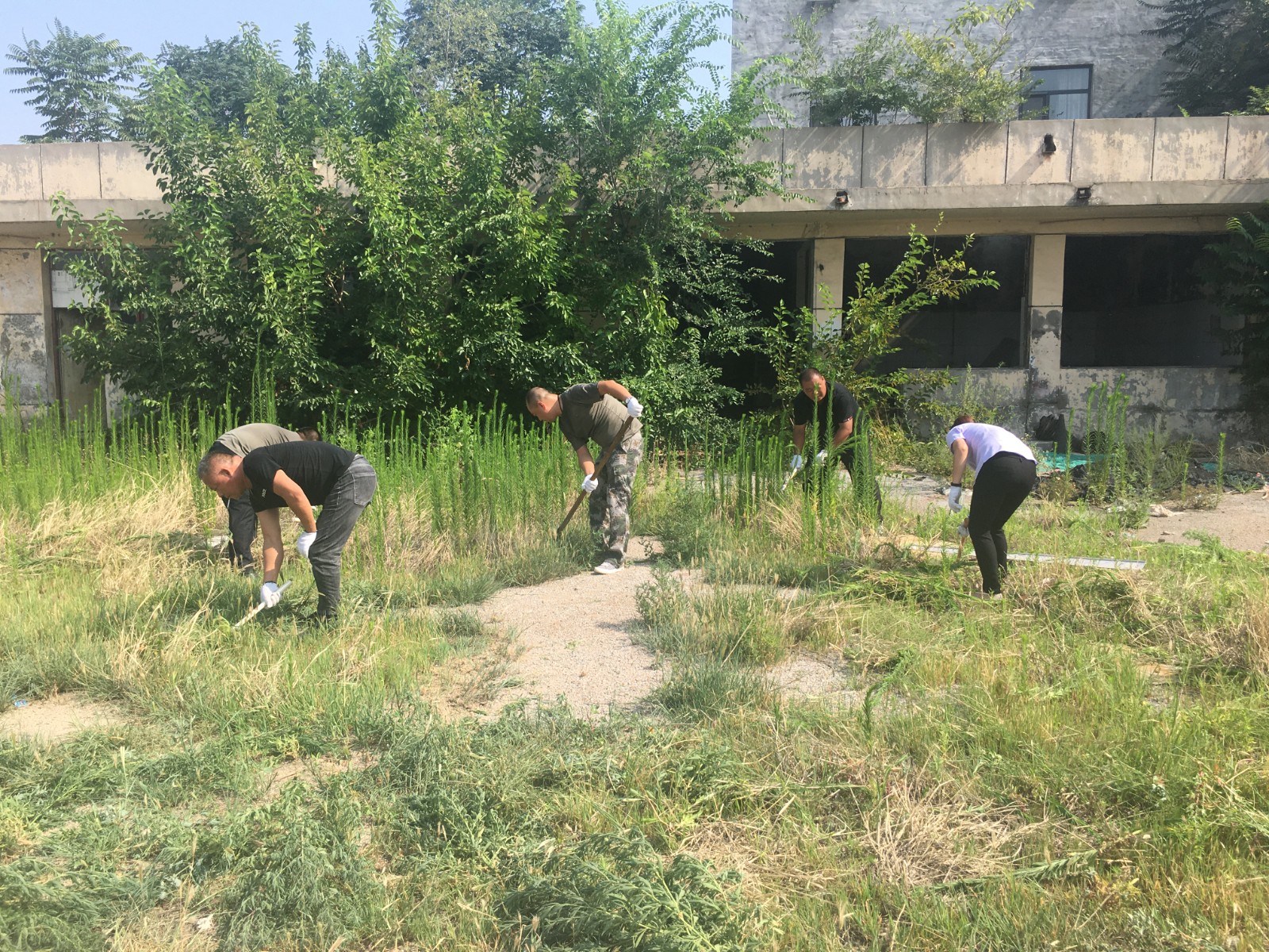 81614827.jpg 81614827.jpg