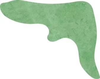 29896479.jpg 微信圖片_20240514161612.jpg